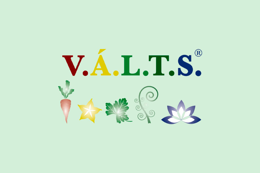 V.Á.L.T.S.
