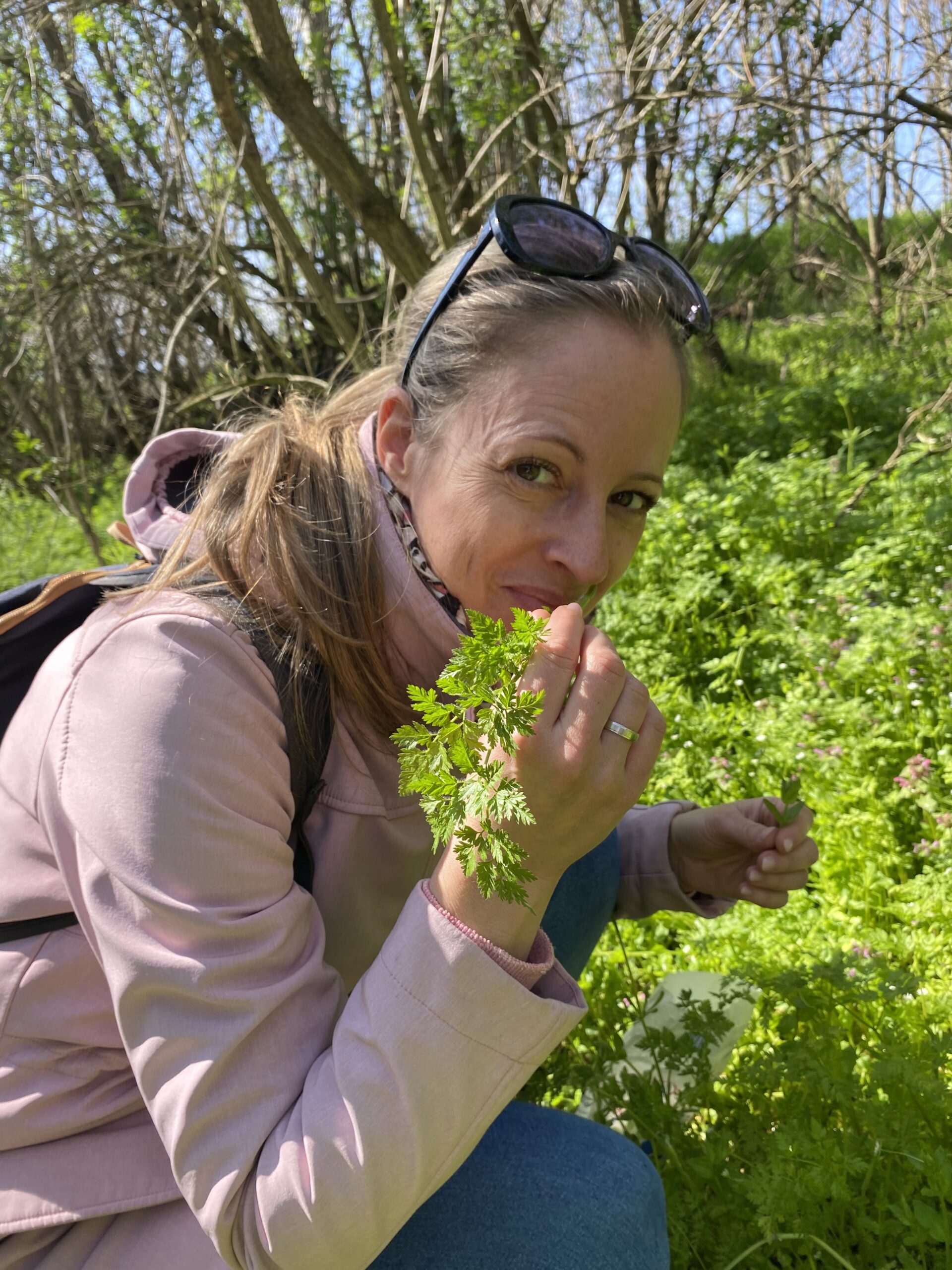 Fitoterápia Esztermentor